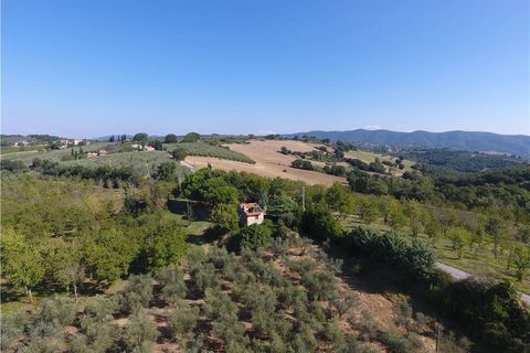 Landejendom i Gualdo Cattaneo, Perugia, Gualdo Cattaneo - € 300.000 | Ref: VCR129 - foto 6