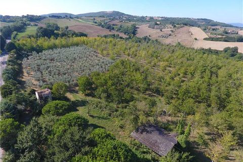 Landejendom i Gualdo Cattaneo, Perugia, Gualdo Cattaneo - € 300.000 | Ref: VCR129 - foto 10