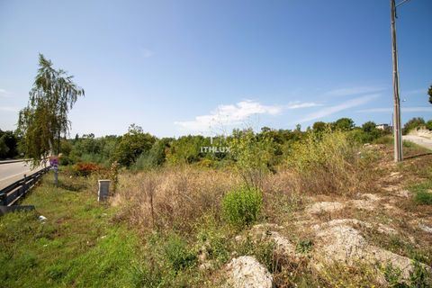 Helårsgrund i Viseu, Viseu, Viseu - € 750.000 | Ref: ITH2256 - foto 5