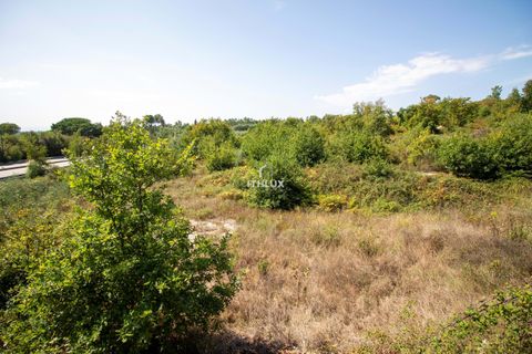 Helårsgrund i Viseu, Viseu, Viseu - € 750.000 | Ref: ITH2256 - foto 6