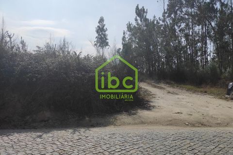 Tomt i Vila do Conde, Porto, Vila do Conde - € 640 000 | Ref: IBC-1362 - foto 3