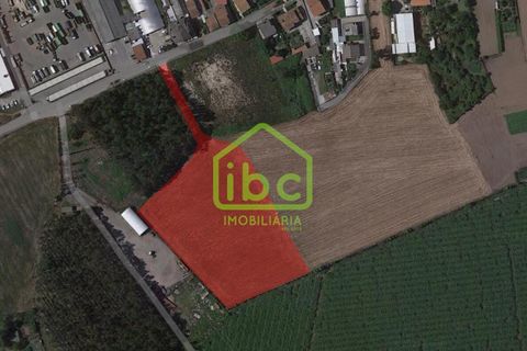 Tomt i Vila do Conde, Porto, Vila do Conde - € 640 000 | Ref: IBC-1362 - foto 18