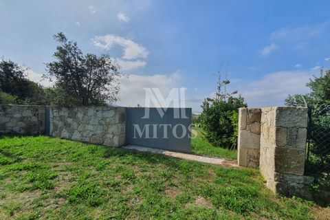 Helårsgrund i Viana do Castelo, Viana do Castelo, Viana do Castelo - € 350.000 | Ref: C421 - foto 2