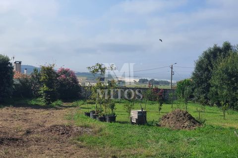 Helårsgrund i Viana do Castelo, Viana do Castelo, Viana do Castelo - € 350.000 | Ref: C421 - foto 5