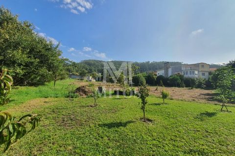 Helårsgrund i Viana do Castelo, Viana do Castelo, Viana do Castelo - € 350.000 | Ref: C421 - foto 7