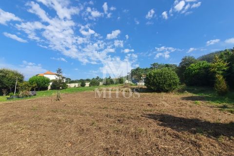 Helårsgrund i Viana do Castelo, Viana do Castelo, Viana do Castelo - € 350.000 | Ref: C421 - foto 8