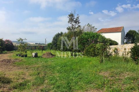 Helårsgrund i Viana do Castelo, Viana do Castelo, Viana do Castelo - € 350.000 | Ref: C421 - foto 9