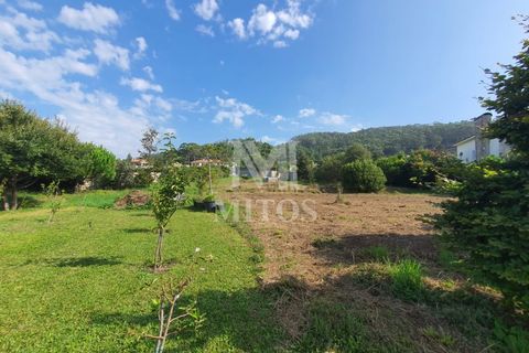 Helårsgrund i Viana do Castelo, Viana do Castelo, Viana do Castelo - € 350.000 | Ref: C421 - foto 10