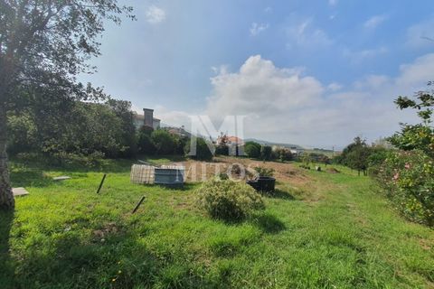 Helårsgrund i Viana do Castelo, Viana do Castelo, Viana do Castelo - € 350.000 | Ref: C421 - foto 12