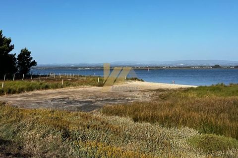 Leilighet i Murtosa, Aveiro, Murtosa - € 65 000 | Ref: 550 - foto 16
