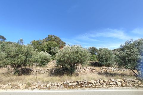 Tomt i Tomar, Santarem, Tomar - € 20 200 | Ref: 01012-23 - foto 5