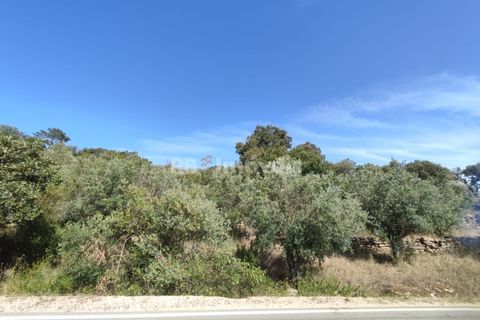 Tomt i Tomar, Santarem, Tomar - € 20 200 | Ref: 01012-23 - foto 2