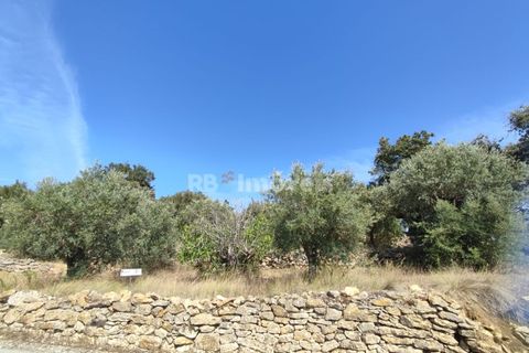 Tomt i Tomar, Santarem, Tomar - € 20 200 | Ref: 01012-23 - foto 4