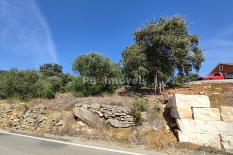 Tomt i Tomar, Santarem, Tomar - € 20 200 | Ref: 01012-23 - foto 3