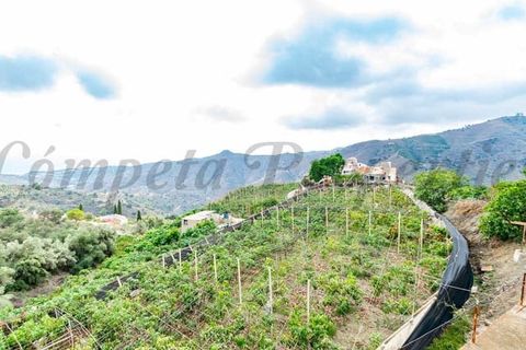 Finca i Torrox, Malaga, Torrox - € 420 000 | Ref: TCP224 - foto 16