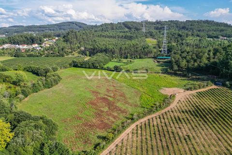 Helårsgrund i Vila Verde, Braga, Vila Verde - € 77.000 | Ref: 01-3277 - foto 2