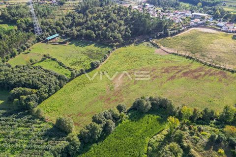 Helårsgrund i Vila Verde, Braga, Vila Verde - € 77.000 | Ref: 01-3277 - foto 4