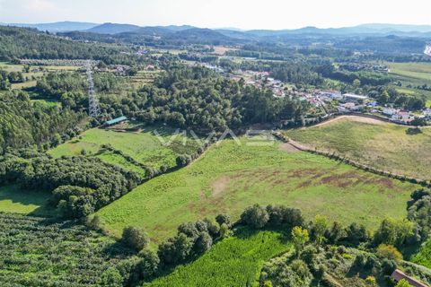 Helårsgrund i Vila Verde, Braga, Vila Verde - € 77.000 | Ref: 01-3277 - foto 5