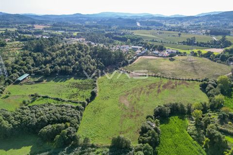 Helårsgrund i Vila Verde, Braga, Vila Verde - € 77.000 | Ref: 01-3277 - foto 6