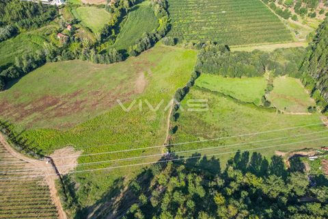 Helårsgrund i Vila Verde, Braga, Vila Verde - € 77.000 | Ref: 01-3277 - foto 9