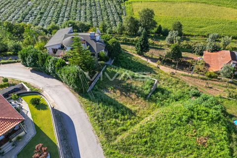 Helårsgrund i Vila Verde, Braga, Vila Verde - € 46.500 | Ref: 01-3278 - foto 5