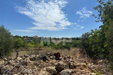Helårsgrund i Quelfes, Faro, Quelfes - € 1.000.000 | Ref: 165230097 - foto 15