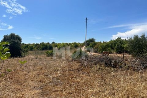 Helårsgrund i Quelfes, Faro, Quelfes - € 1.000.000 | Ref: 165230097 - foto 16