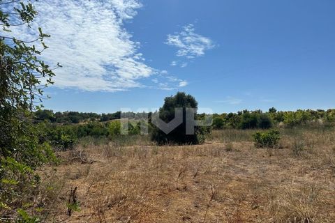 Helårsgrund i Quelfes, Faro, Quelfes - € 1.000.000 | Ref: 165230097 - foto 17