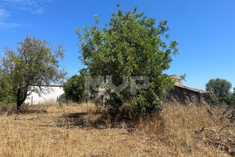 Helårsgrund i Quelfes, Faro, Quelfes - € 1.000.000 | Ref: 165230097 - foto 18