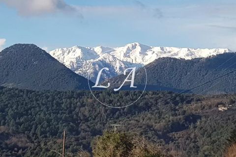 Landejendom i Antisanti, Haute-Corse, Antisanti - € 210.000 | Ref: ANT1M000587FP - foto 7