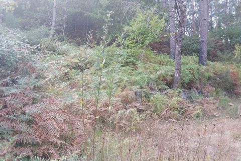 Tomt i Terras de Bouro, Braga, Terras de Bouro - € 64 000 | Ref: 211699 - foto 2