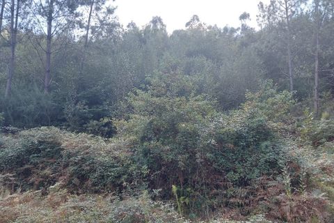 Tomt i Terras de Bouro, Braga, Terras de Bouro - € 64 000 | Ref: 211699 - foto 3