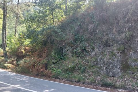 Tomt i Terras de Bouro, Braga, Terras de Bouro - € 64 000 | Ref: 211699 - foto 5