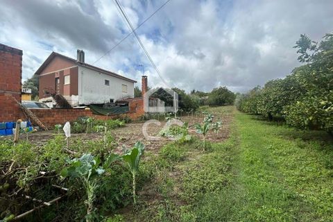 Helårsgrund i Coimbra, Coimbra, Coimbra - € 32.500 | Ref: 385/T/00594 - foto 2