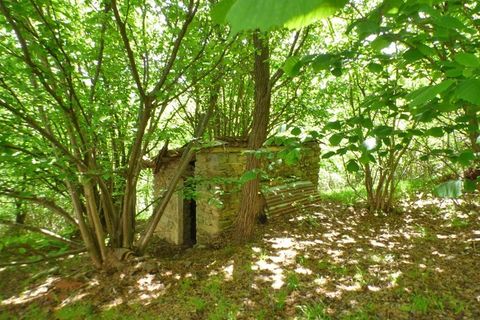 Landejendom i Pamparato, Cuneo, Pamparato - € 95.000 | Ref: PMP008 - foto 12