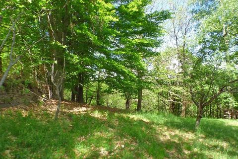 Landejendom i Pamparato, Cuneo, Pamparato - € 95.000 | Ref: PMP008 - foto 15