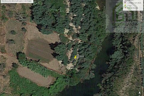Terra a Arganil, Coimbra, Arganil - € 20.000 | Ref: 567 - foto 2