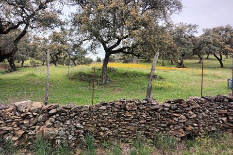 Terra a Aracena, Huelva, Aracena - € 40.000 | Ref: 3566-00641/10841 - foto 5