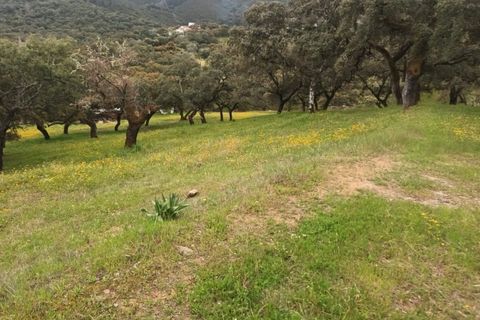 Terra a Aracena, Huelva, Aracena - € 40.000 | Ref: 3566-00641/10841 - foto 6