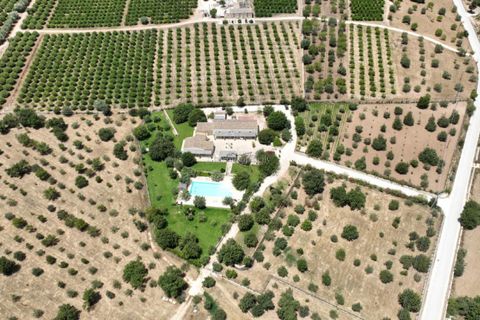 Villa in Noto, Siracusa, Noto - € 2.000.000 | Ref: L 1682 - foto 9