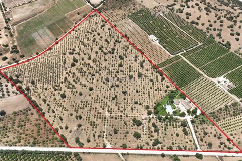 Villa in Noto, Siracusa, Noto - € 2.000.000 | Ref: L 1682 - foto 43
