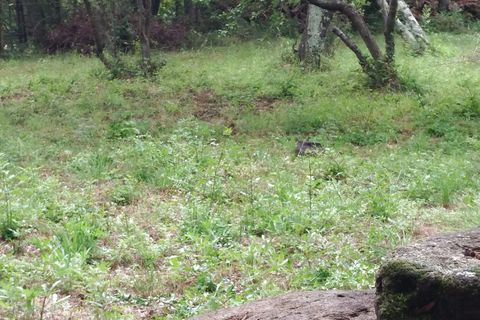 Helårsgrund i Valmascle, Herault, Valmascle - € 24.900 | Ref: 11 - foto 3