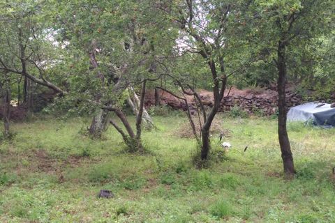 Helårsgrund i Valmascle, Herault, Valmascle - € 24.900 | Ref: 11 - foto 2