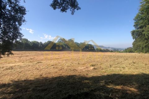 Helårsgrund i Barcelos, Braga, Barcelos - € 1.050.000 | Ref: RL-999-885 - foto 3