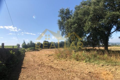 Helårsgrund i Barcelos, Braga, Barcelos - € 1.050.000 | Ref: RL-999-885 - foto 4
