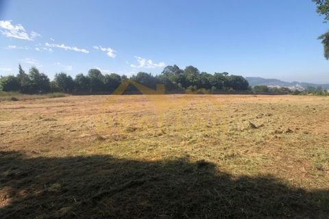Helårsgrund i Barcelos, Braga, Barcelos - € 1.050.000 | Ref: RL-999-885 - foto 6