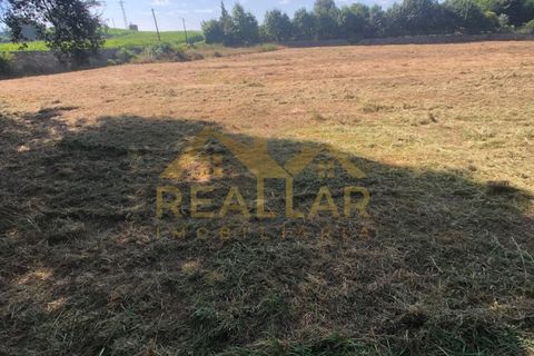 Helårsgrund i Barcelos, Braga, Barcelos - € 1.050.000 | Ref: RL-999-885 - foto 7