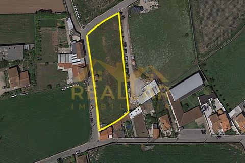 Helårsgrund i Vila do Conde, Porto, Vila do Conde - € 70.000 | Ref: RL-70-1897 - foto 6