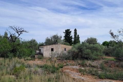 Landejendom i L'Ampolla, Tarragona, L'Ampolla - € 35.000 | Ref: Finca_Petit_Ulldello/7003 - foto 6