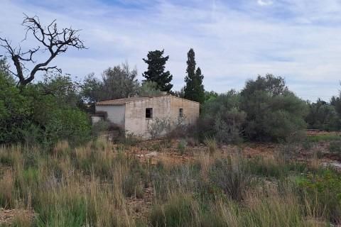 Landejendom i L'Ampolla, Tarragona, L'Ampolla - € 35.000 | Ref: Finca_Petit_Ulldello/7003 - foto 7